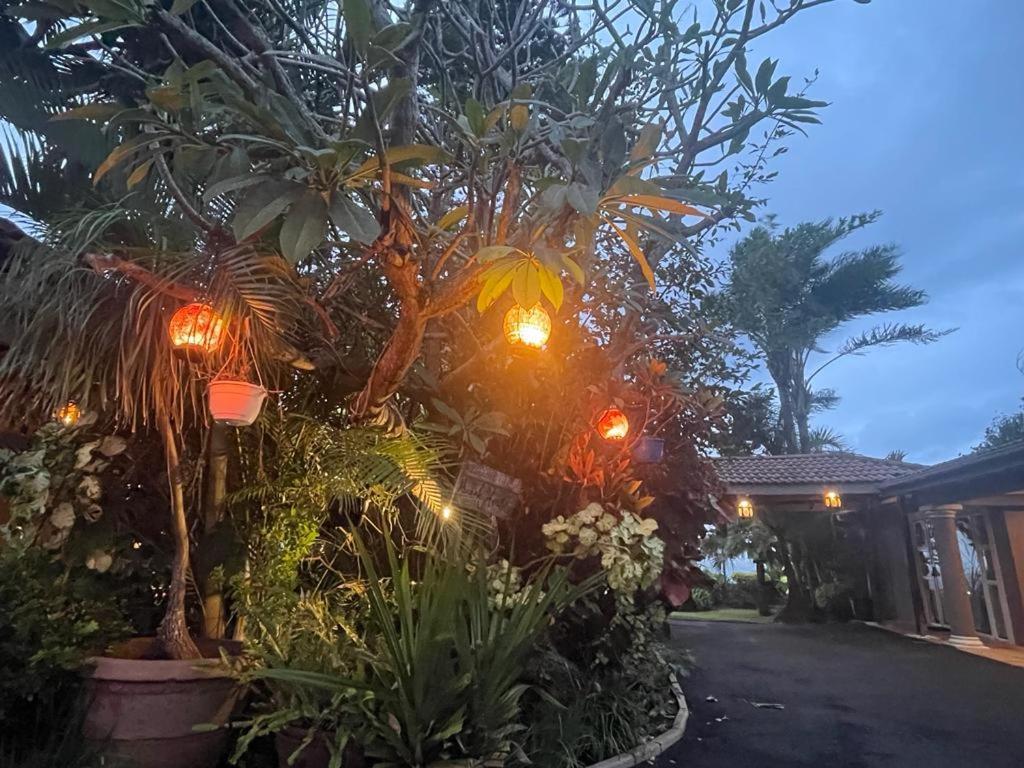Illovo Beach House 아만짐토티 외부 사진